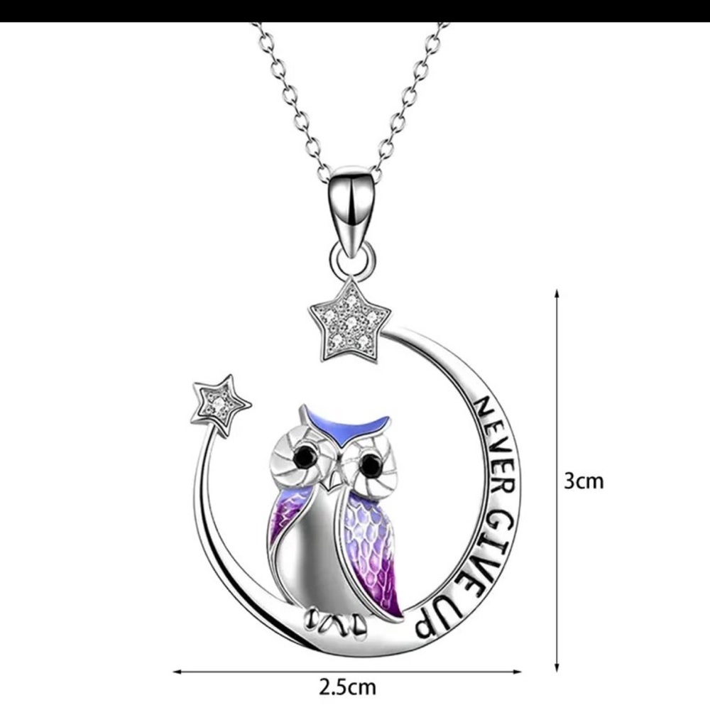 Owl Inspirational Necklace - Picture 2 of 2